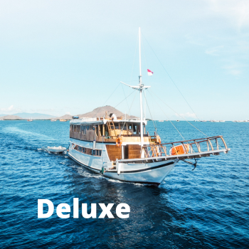 Deluxe Boat