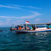⁠Jadwal dan Harga Kapal ke Pulau Pari dari Jakarta Terbaru